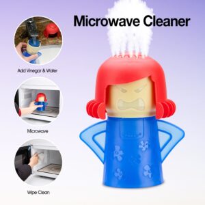 Microwave Steam Cleaner