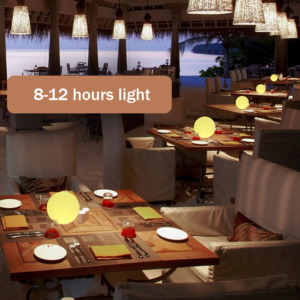 Wireless LED Ball Lamps (Outdoor/Indoor)